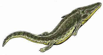 Benthosuchus