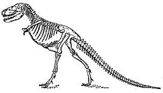 Скелет тарбозавра Tarbosaurus efremovi