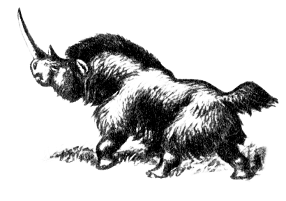 Волосатый носорог (Coelodonta antiquitatis)